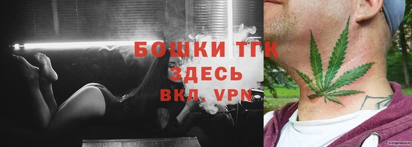ГАЛЛЮЦИНОГЕННЫЕ ГРИБЫ Лабытнанги