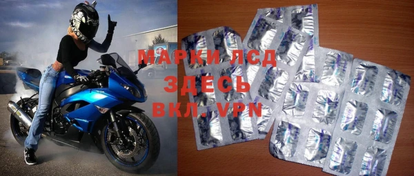 стаф Ладушкин